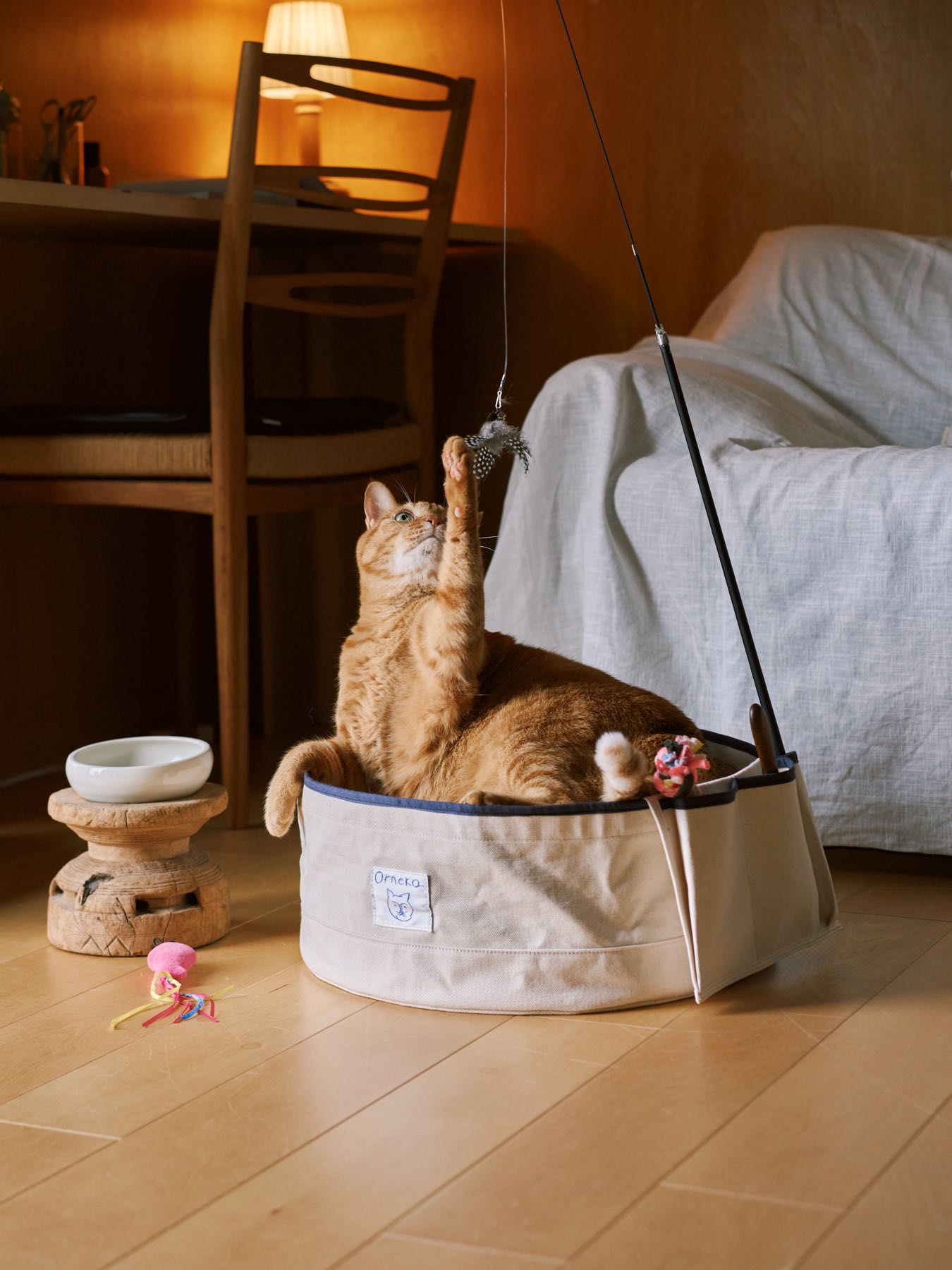 モデル猫：7kg