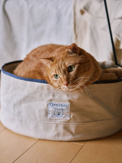 モデル猫：7kg