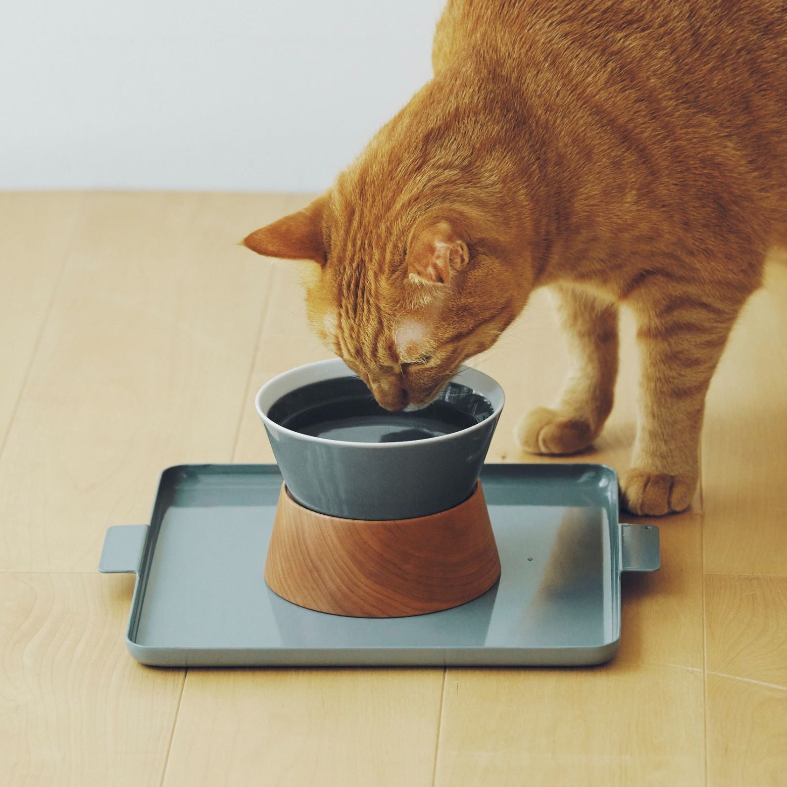 Orne de Feuilles オルネコ フードボウルスタンド ※別売りも可 オルネコ｜フードボウルスタンド - Orné de Feuilles(オルネドフォイユ