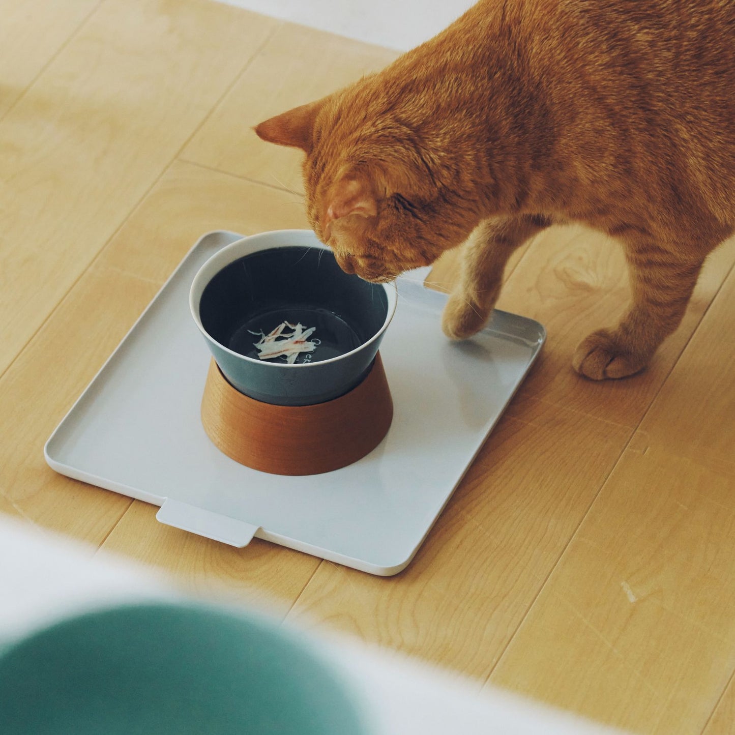 yumiko iihoshi porcelain × Orneko フードボウルスタンド（セット）