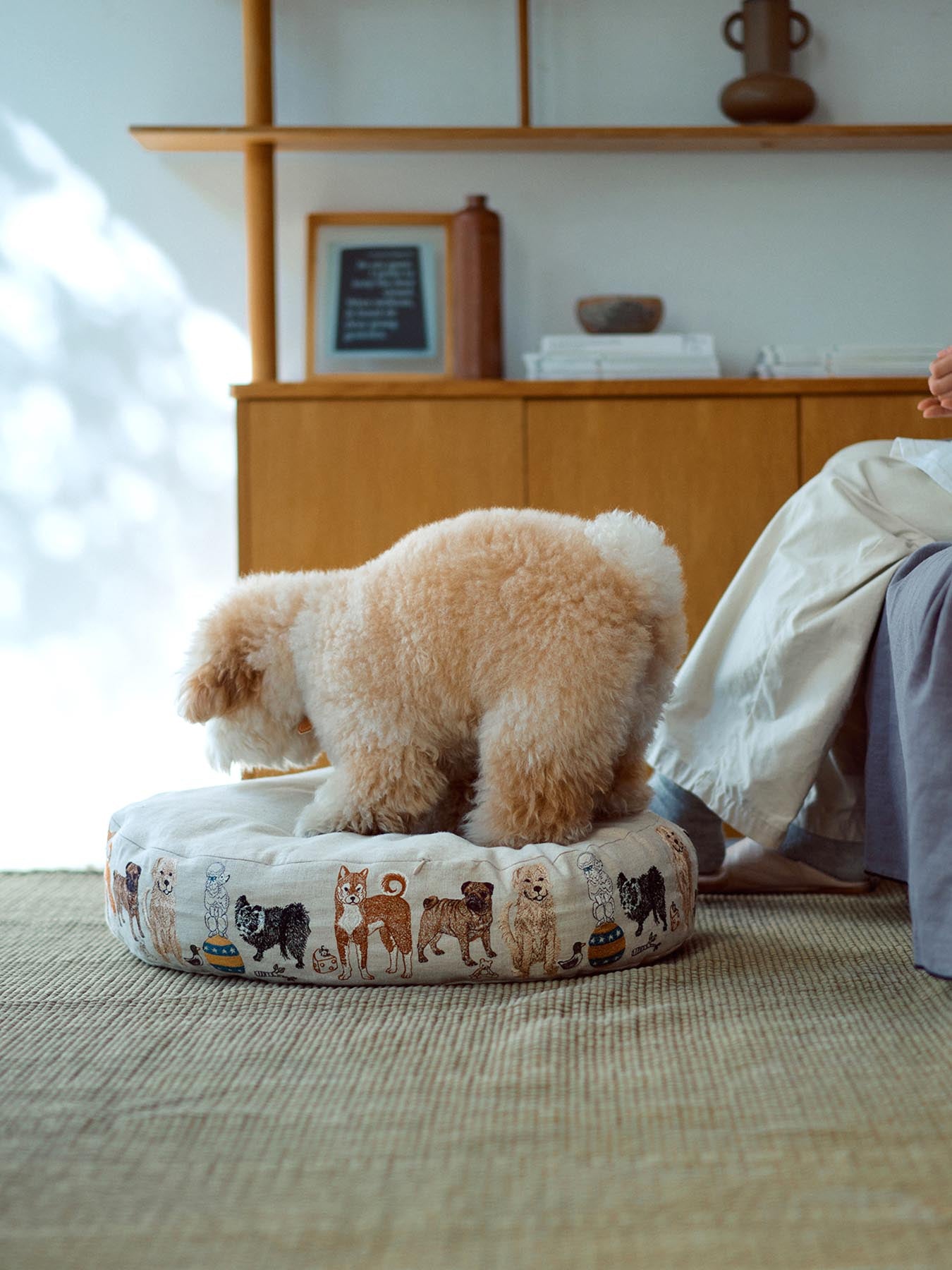 【受注販売】Coral & Tusk × Foinu オーバルイヌベッド