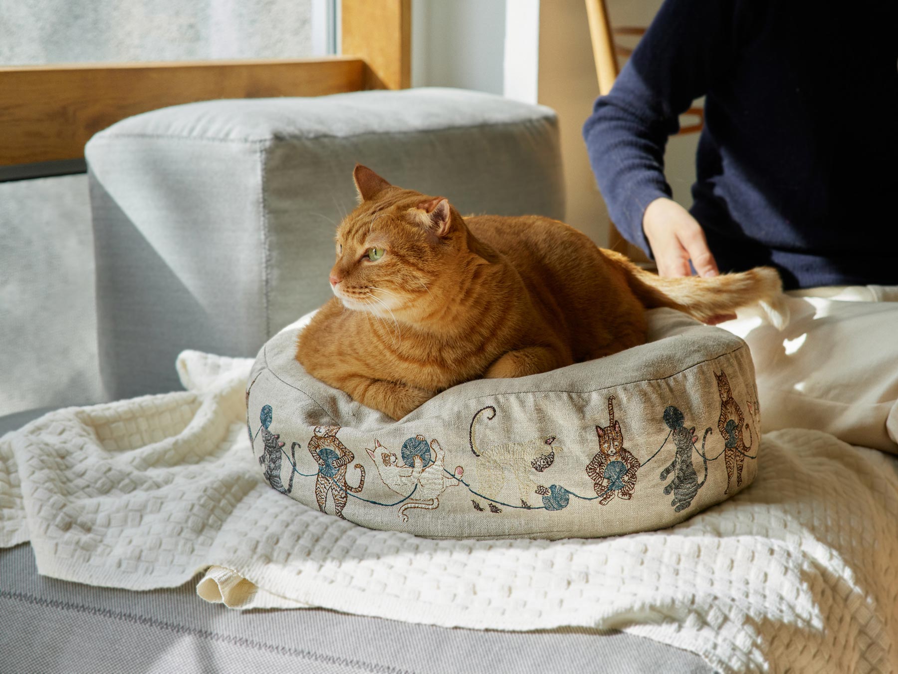 オルネコ　Coral & Tusk × Orneko ラウンドベッド　クッション 受注販売】Coral & Tusk × Orneko ラウンドネコベッド｜オルネコ