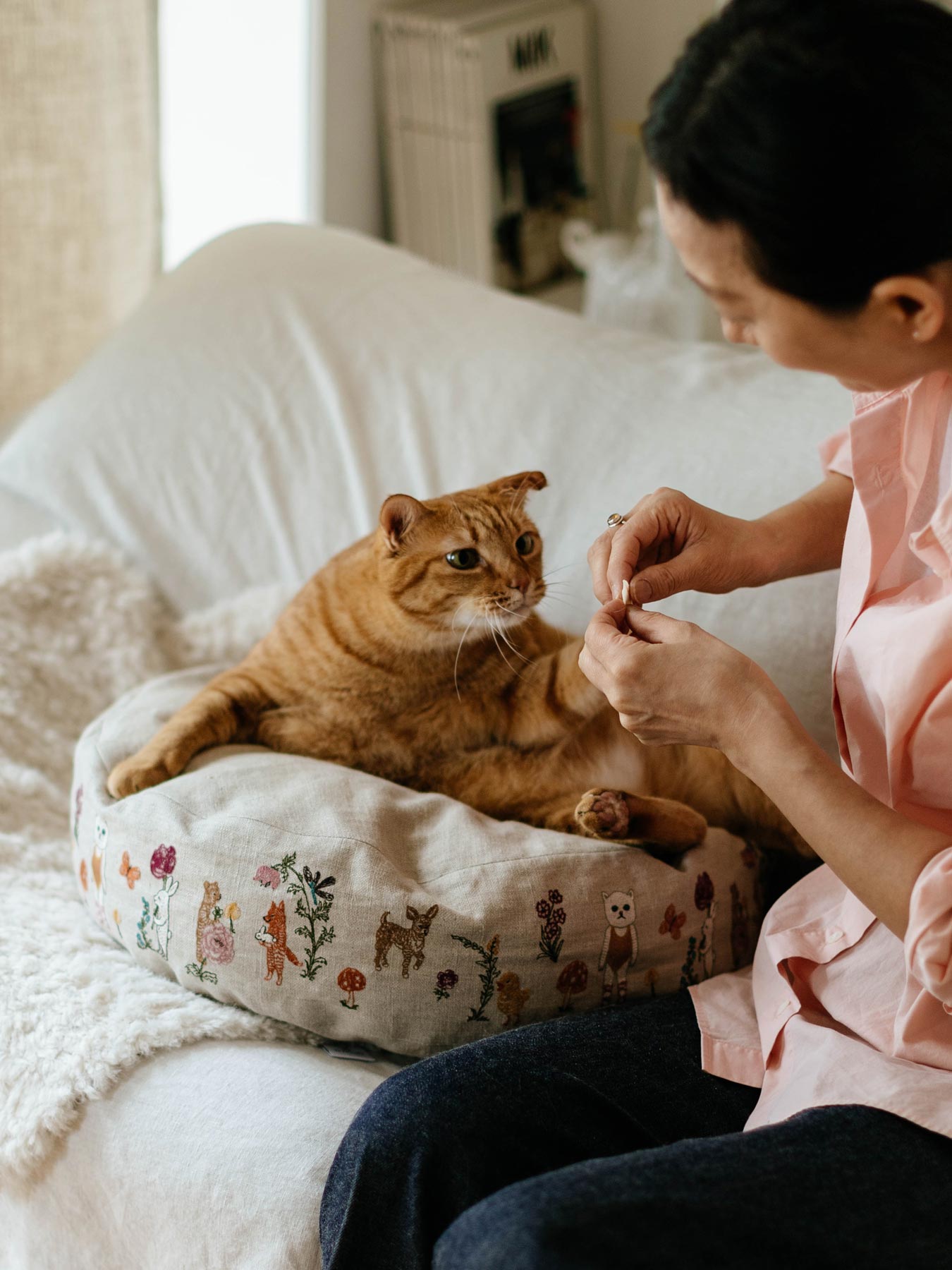 受注販売】Coral & Tusk × Orneko ラウンドネコベッド｜オルネコ