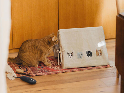 モデル猫：7.3kg