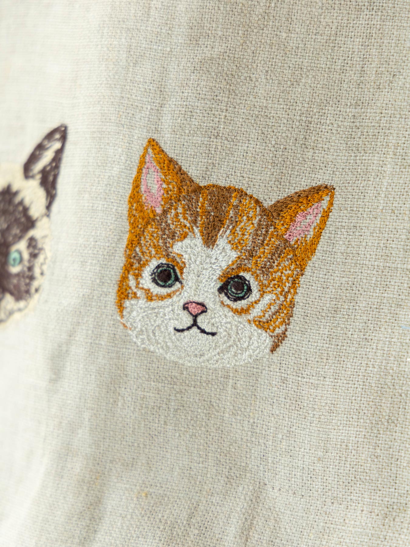 受注販売】Coral & Tusk × Orneko ネコテント｜オルネコ（ベッド
