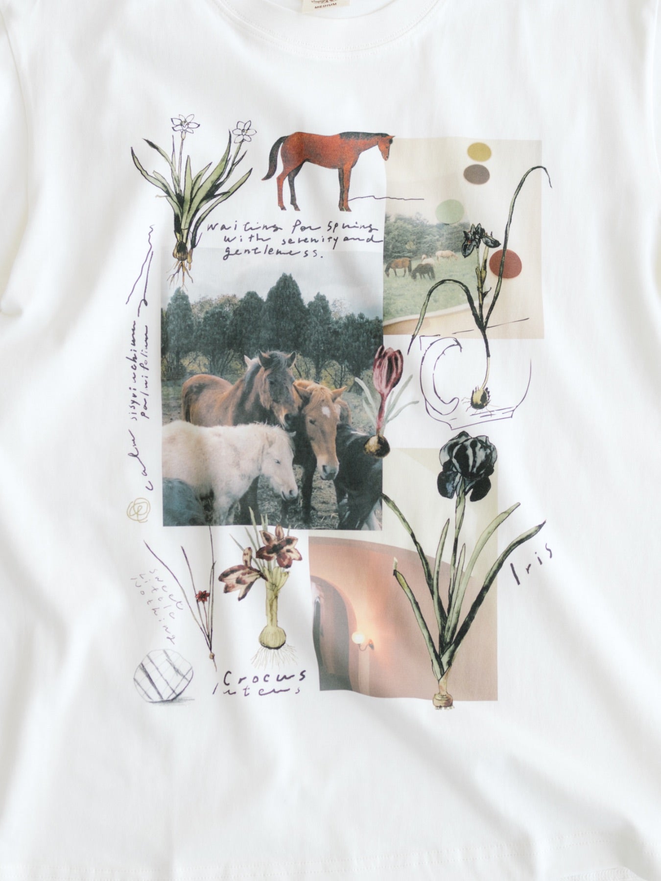 Sweet Little Nothing Tシャツ（馬と球根花）