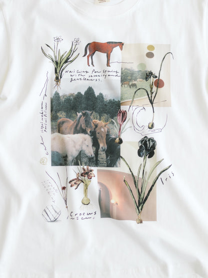 Sweet Little Nothing Tシャツ（馬と球根花）