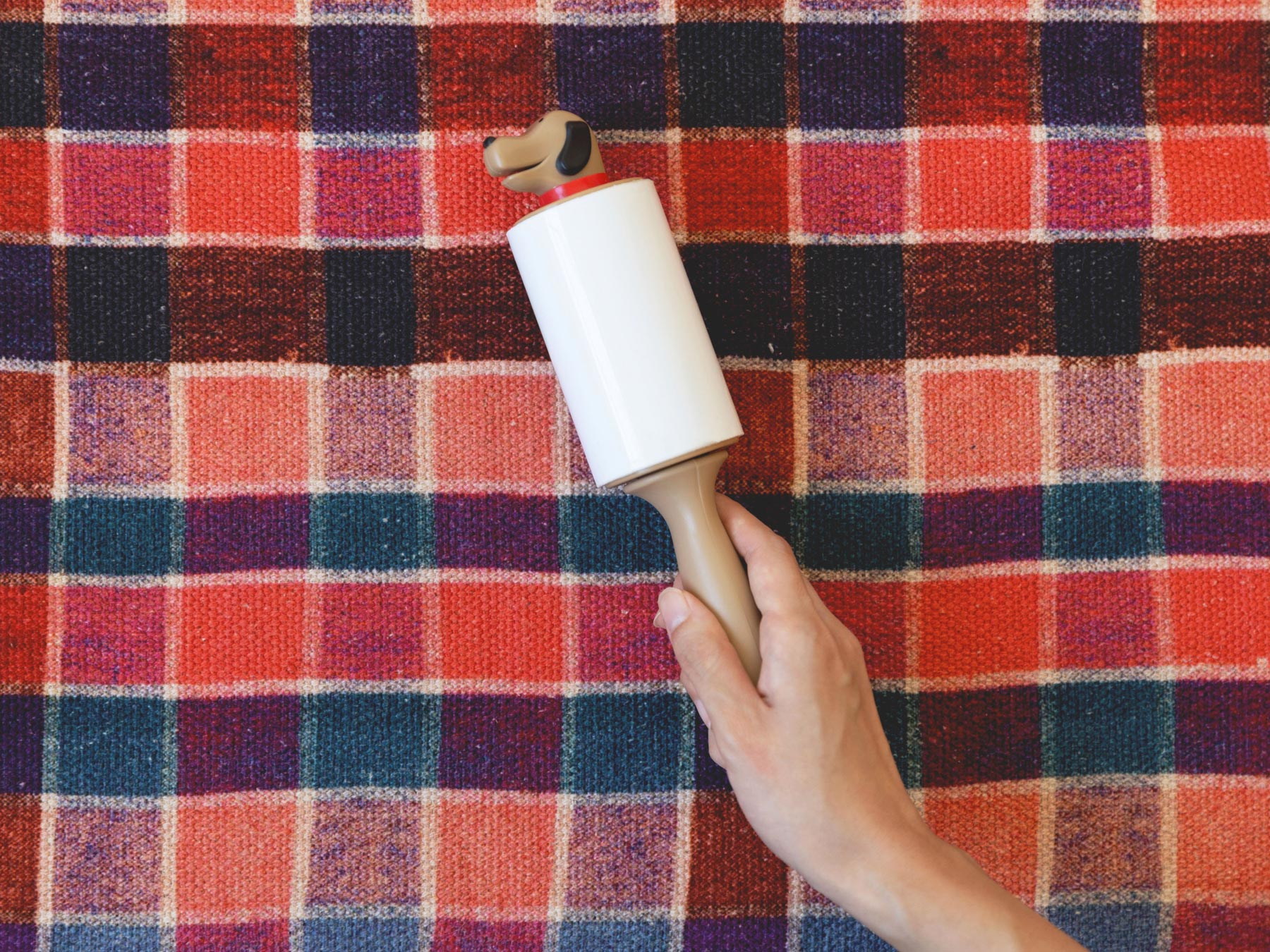 KOBE DOG LINT ROLLER（コロコロクリーナー）｜掃除用品・ゴミ箱