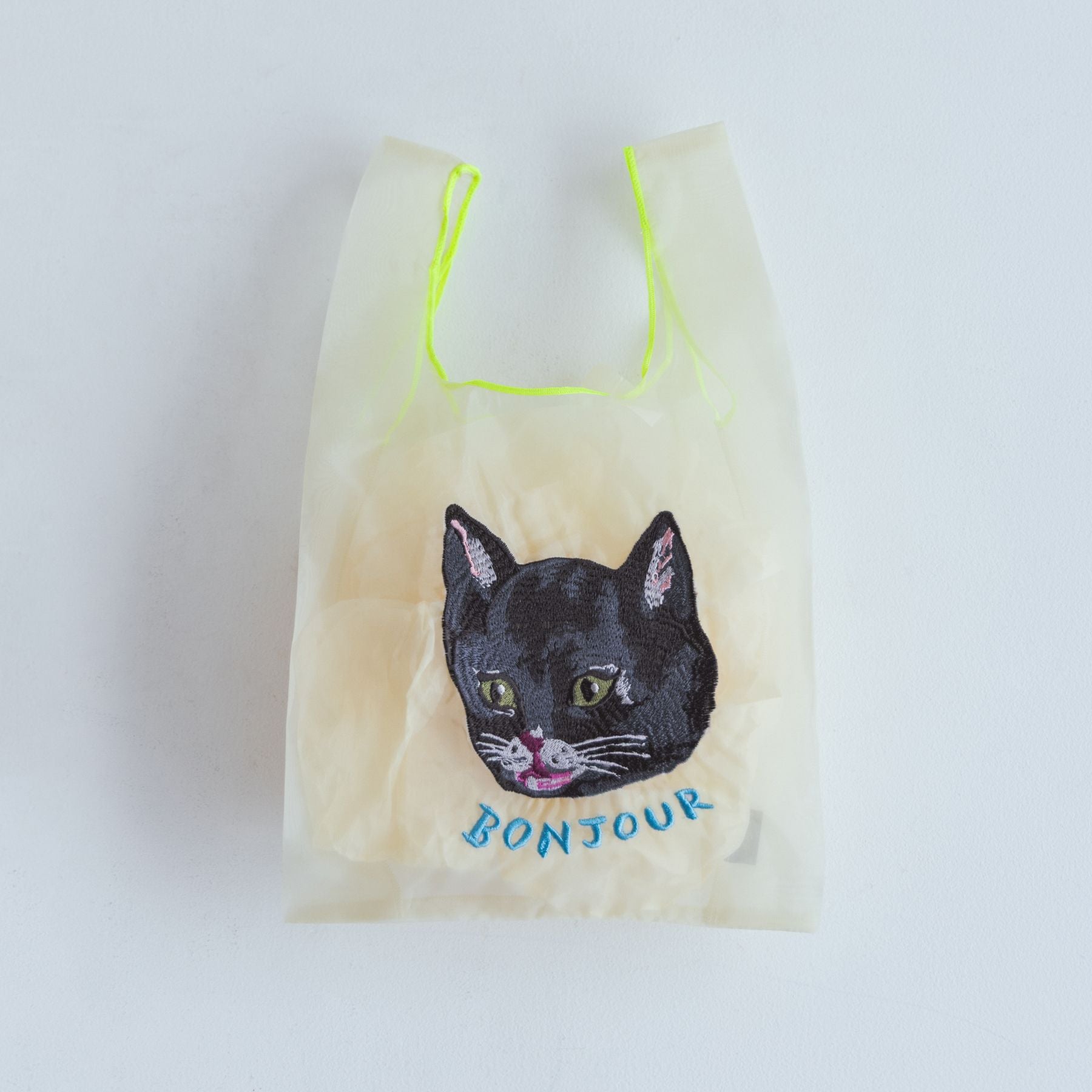 Black cat