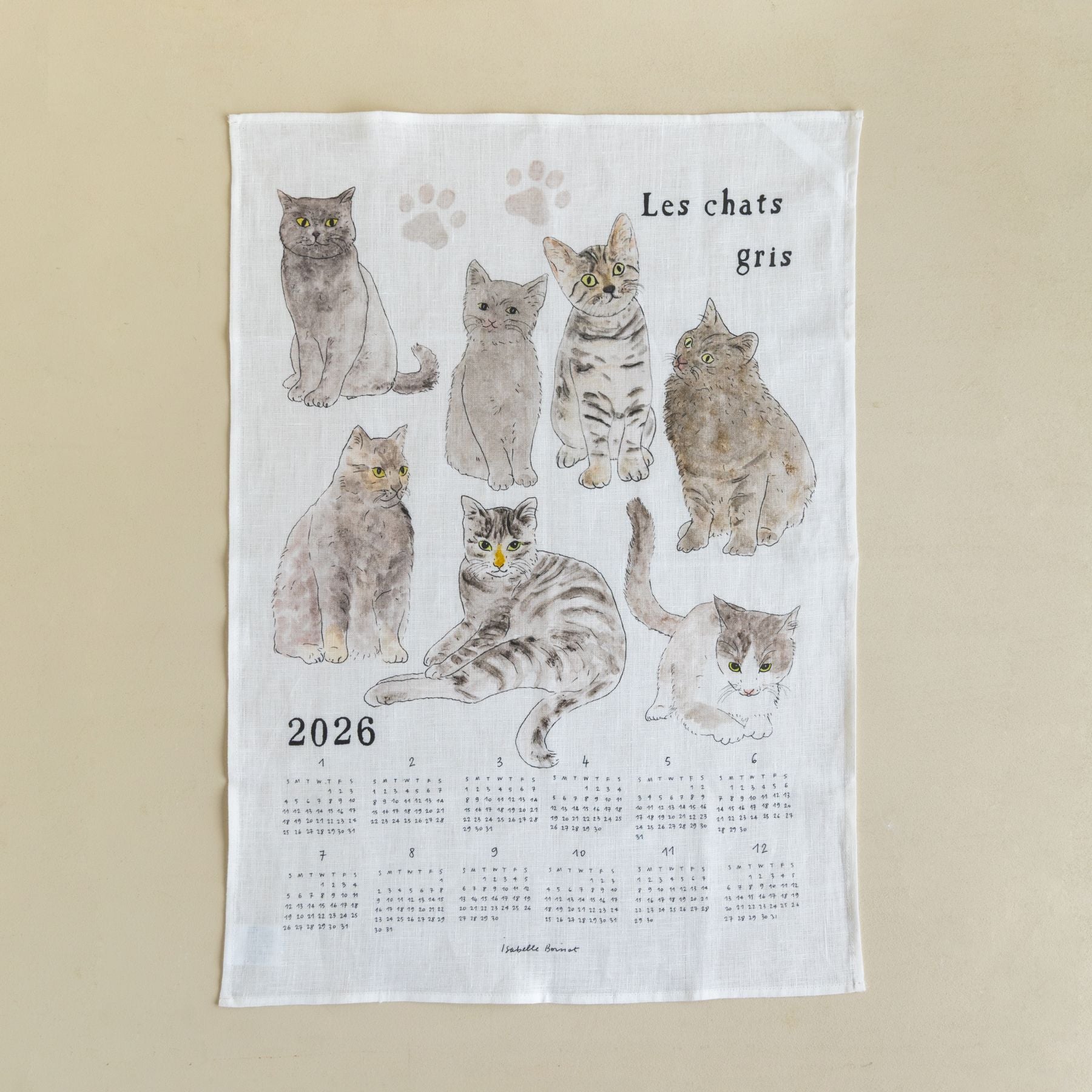グレーの猫たち いろいろ
