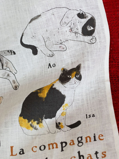 ねこの仲間たち