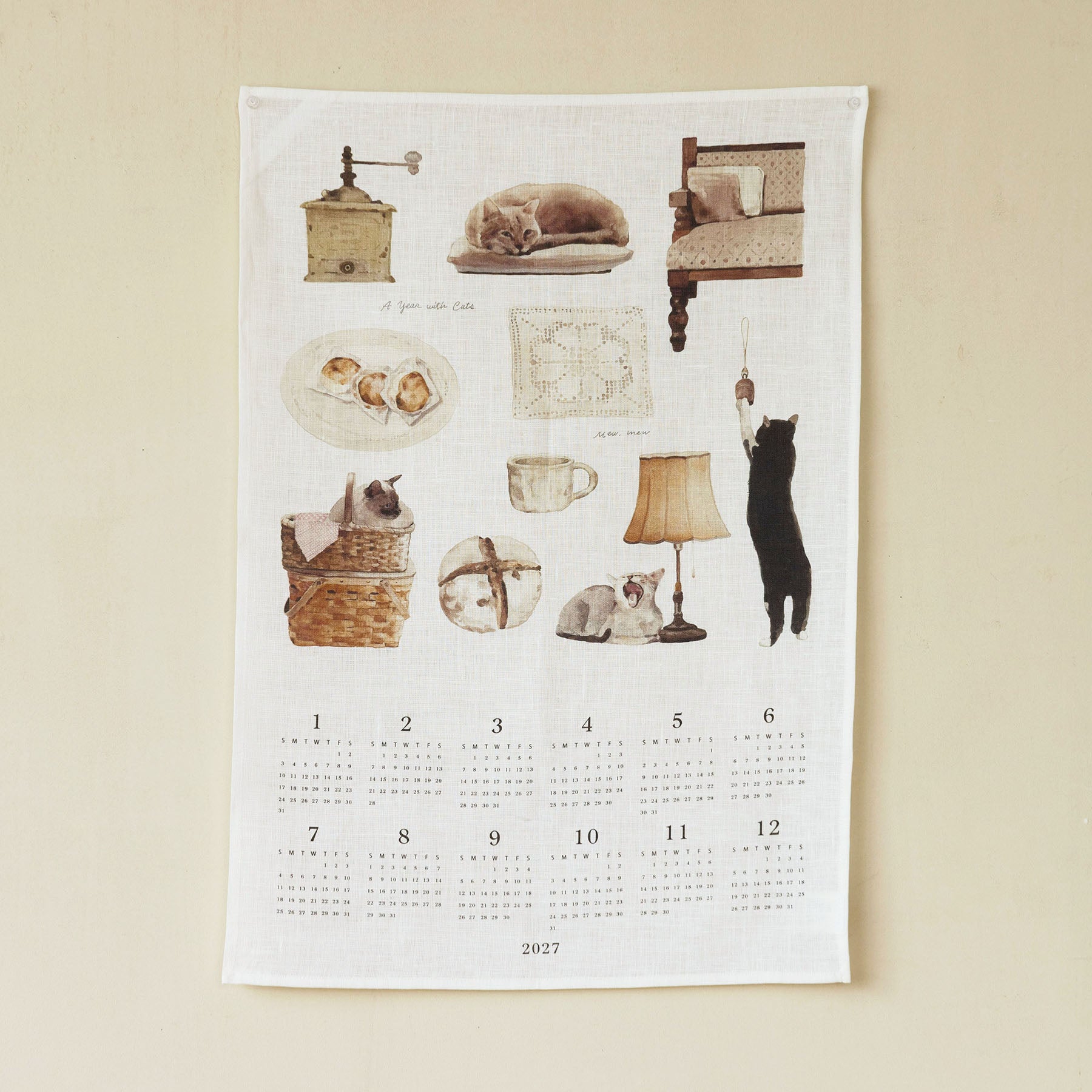 A year with CATS