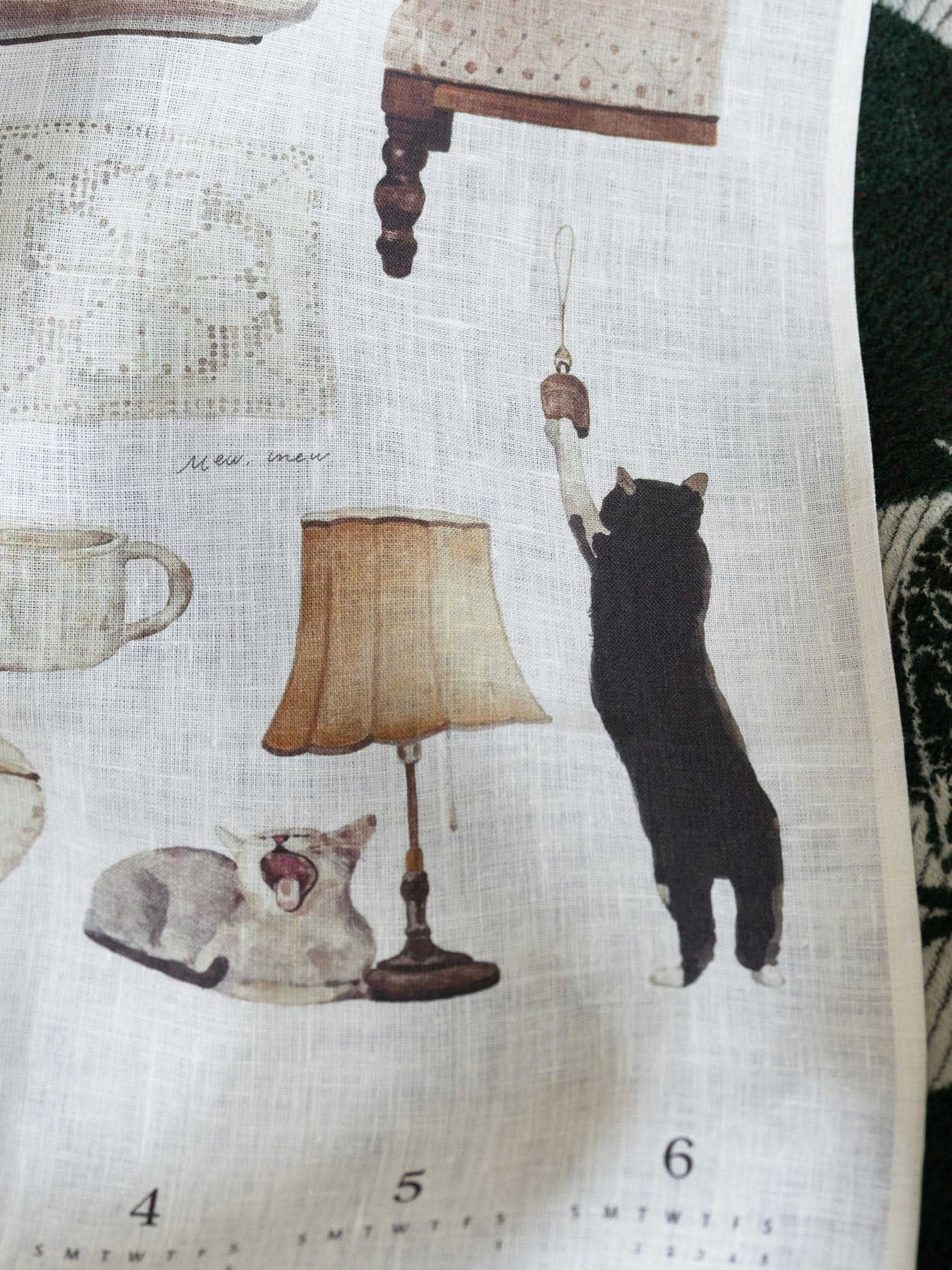 A year with CATS