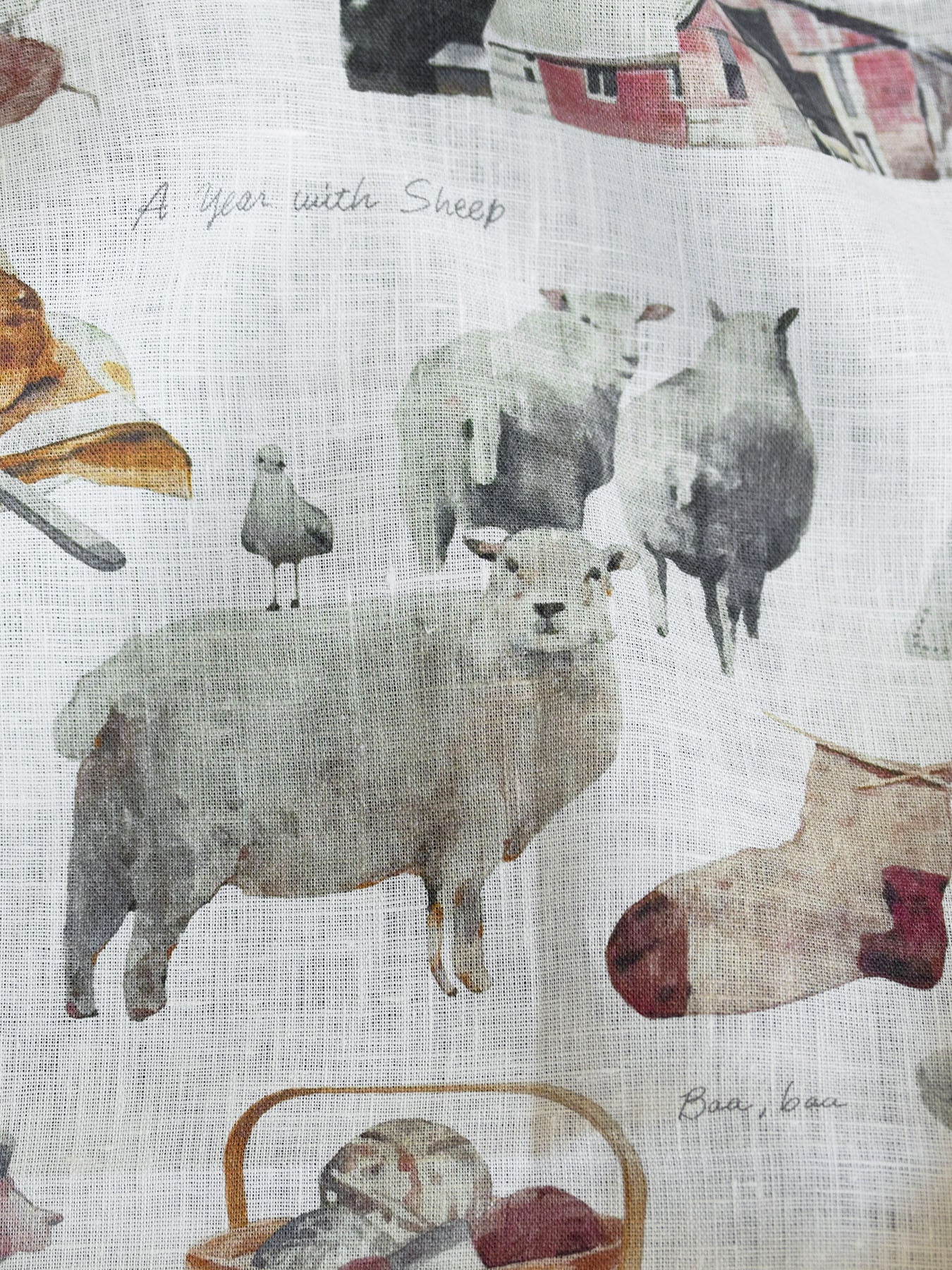 A year with SHEEP