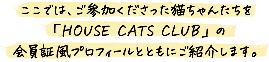 ここでは、ご参加くださった猫ちゃんたちを「HOUSE CATS CLUB」の会員証風プロフィールとともにご紹介します。