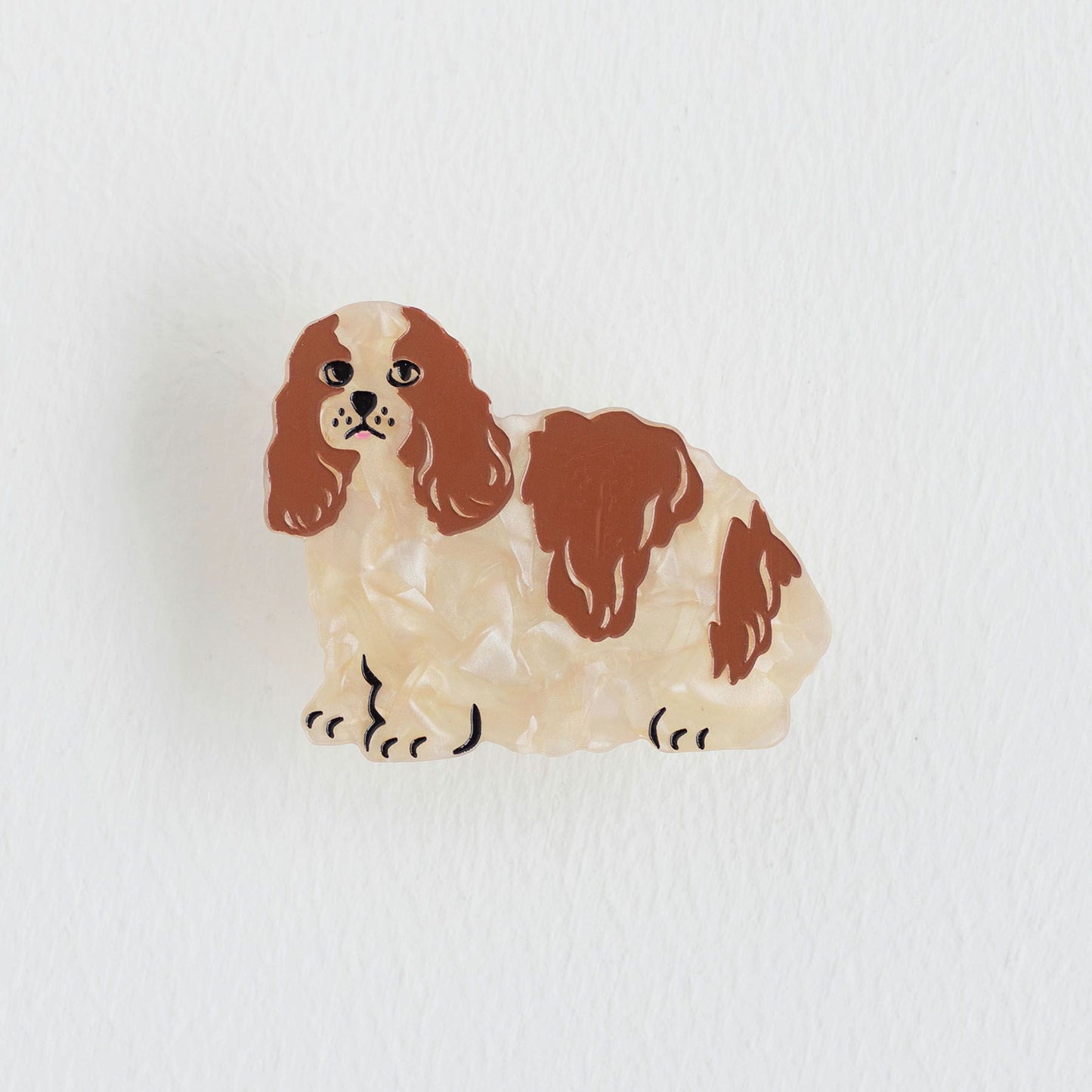 TWO TONE DOG