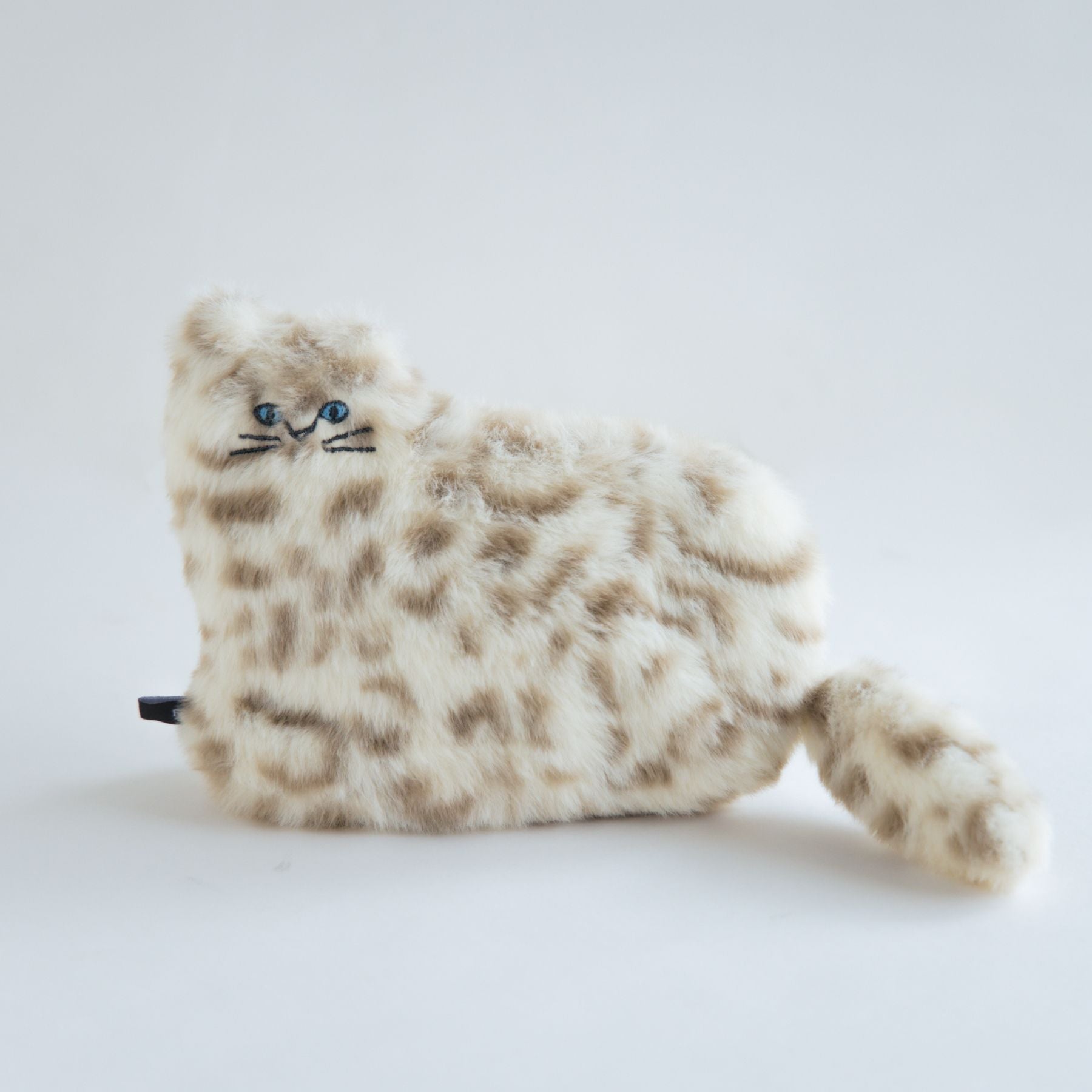 TABBY CAT