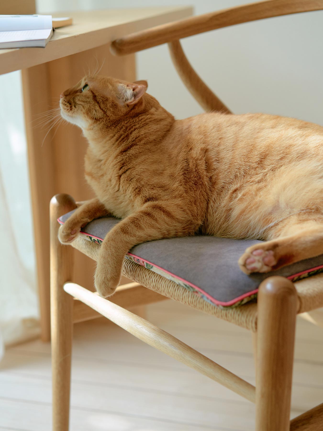 オリジナル・ゴブランチェアクッション｜クッション｜オルネ ド