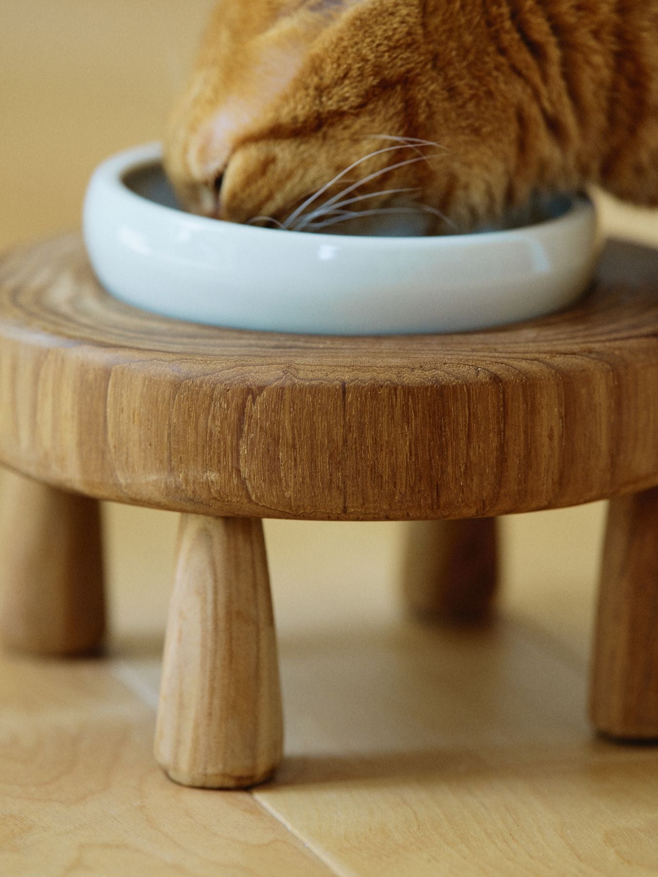 オルネコ・ チークウッドミニテーブル（単品）｜オルネコ（フード