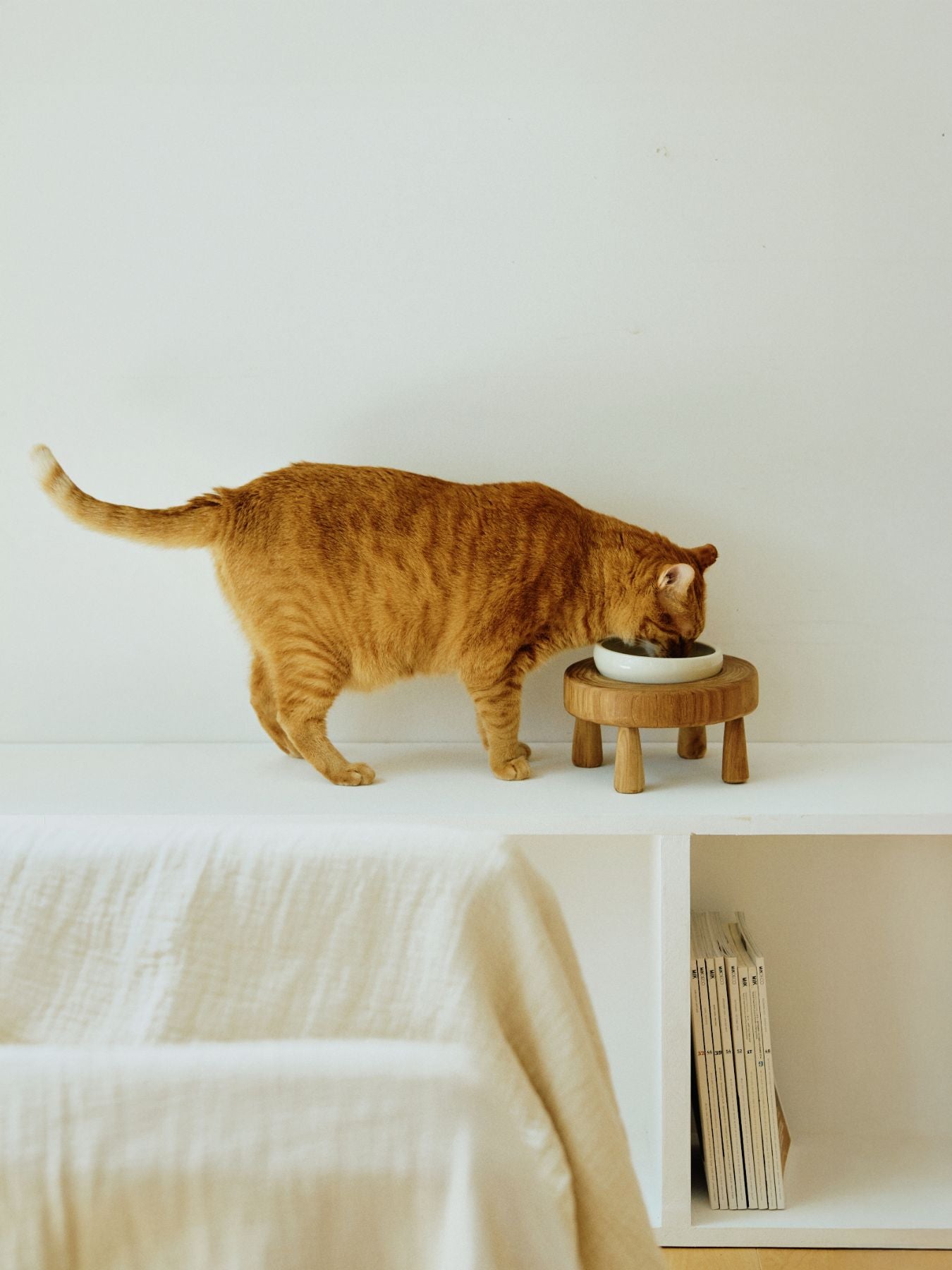 オルネコ・ チークウッドミニテーブル（単品）｜オルネコ（フード