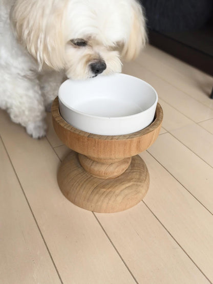 モデル犬：6kg