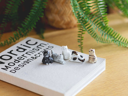 幸生窯 ネコのフェーブ 5点セット（別注）