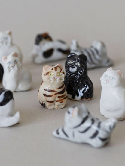 幸生窯 ネコのフェーブ 5点セット（別注）