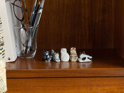 幸生窯 ネコのフェーブ 5点セット（別注）