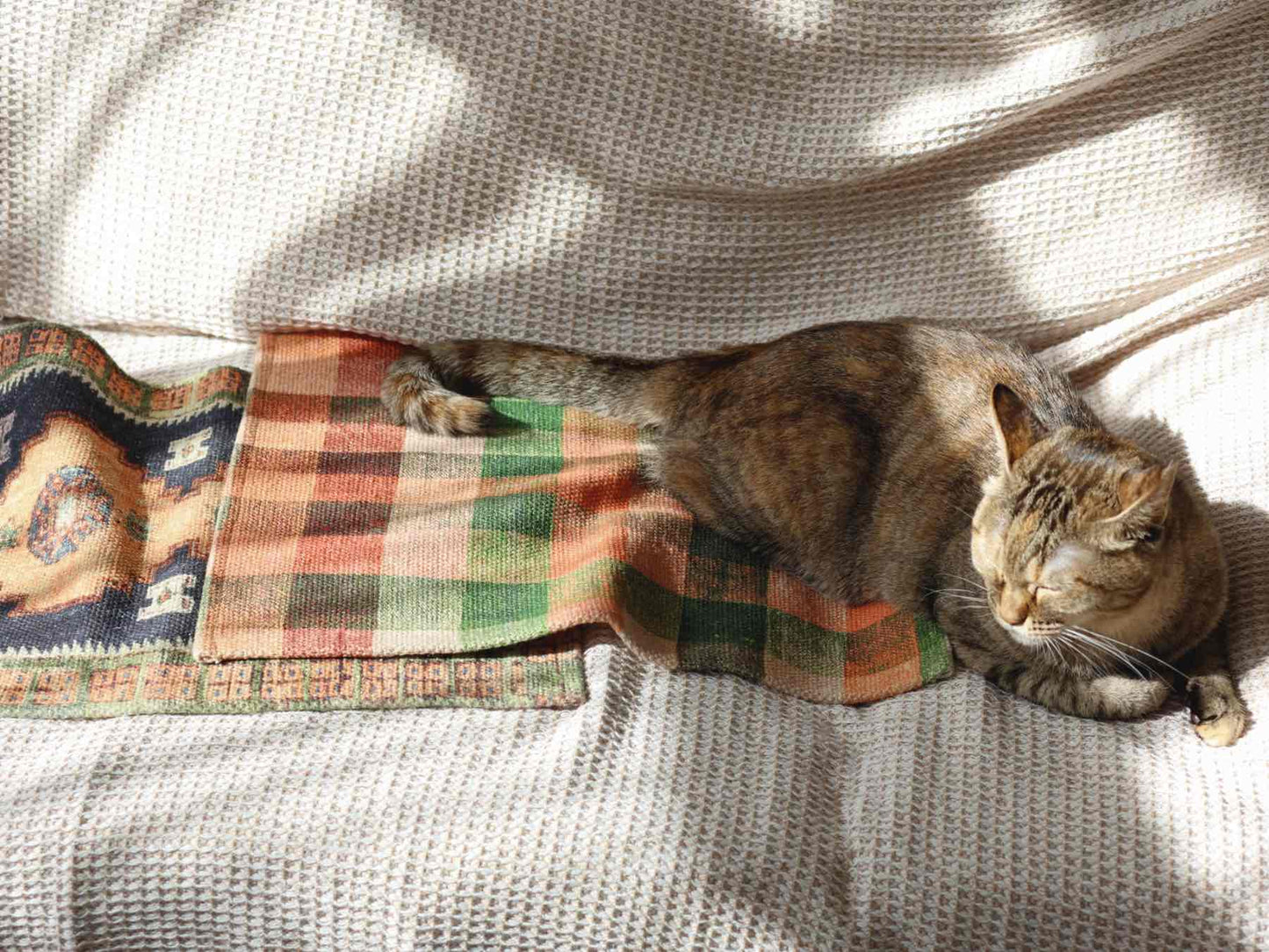 オリジナル・ハイクプリントマット