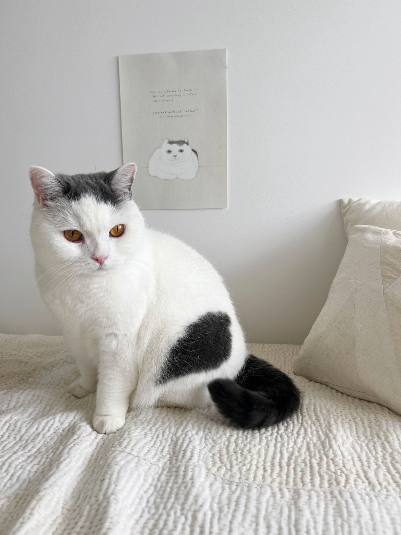 ado オリジナルポスター（A4）｜アートポスター・フレーム｜オルネ ド