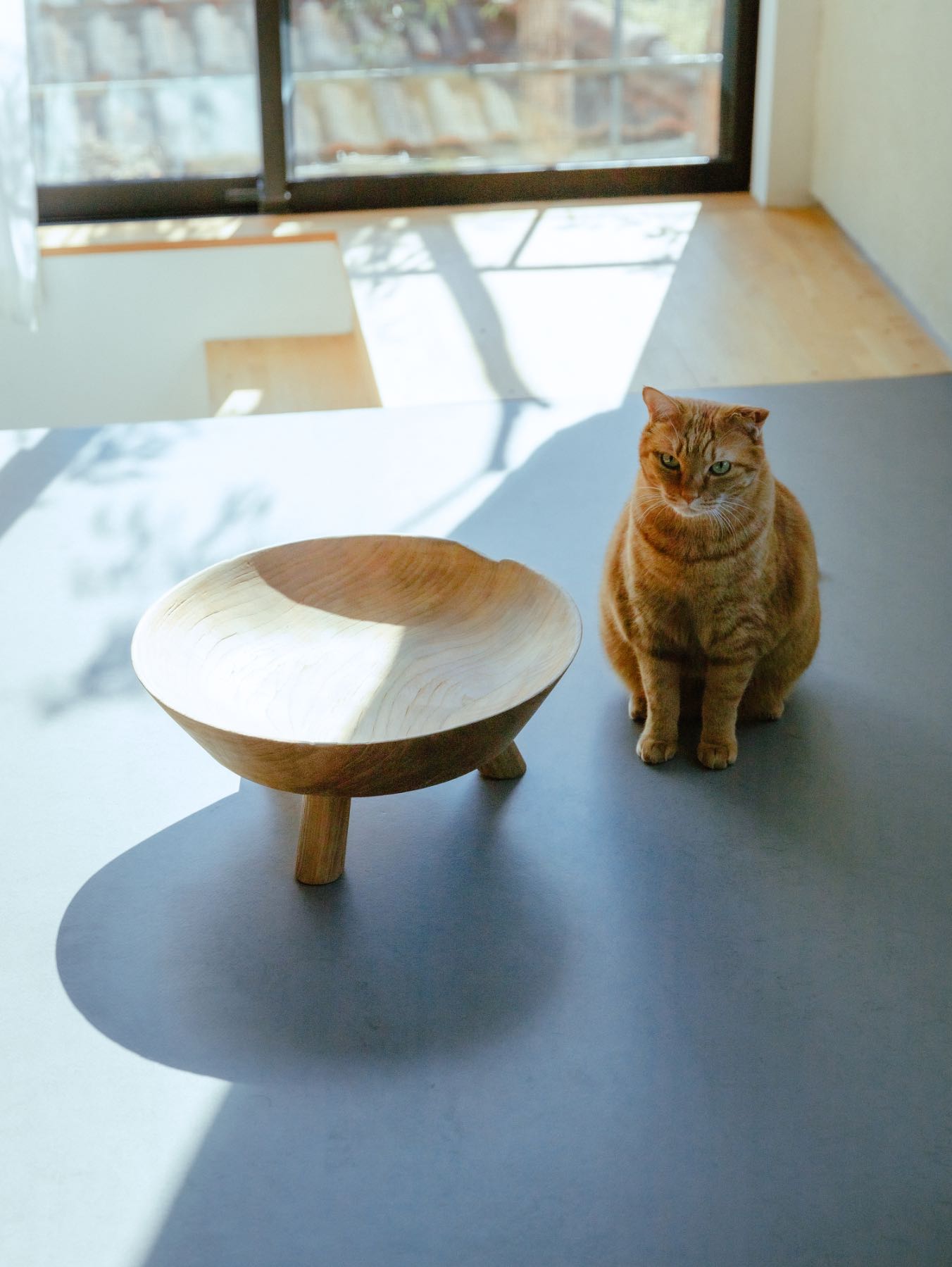 オルネドフォイユ オルネコ モロッコラウンドベッド 猫用ベッド 天然木 オルネコ・クッション付きラウンドベッド／あんパン｜オルネコ