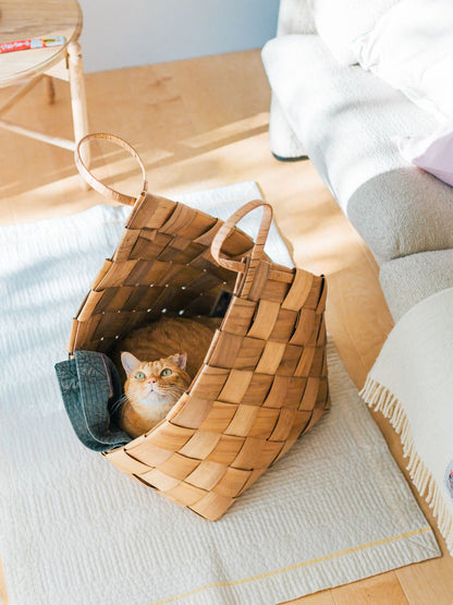 モデル猫：7.3kg