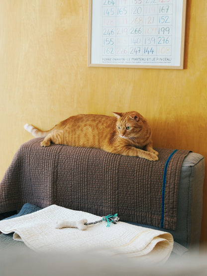 kazumi × Orné de Feuilles  イブルマット