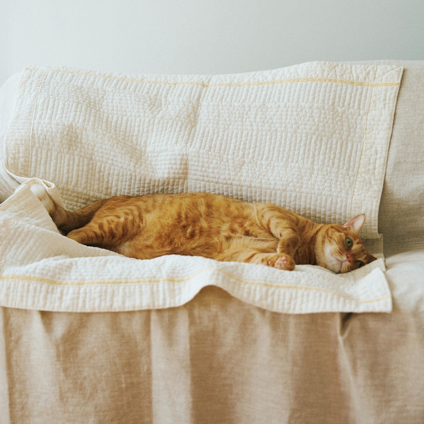 kazumi × Orné de Feuilles  イブルマット 75×103cm