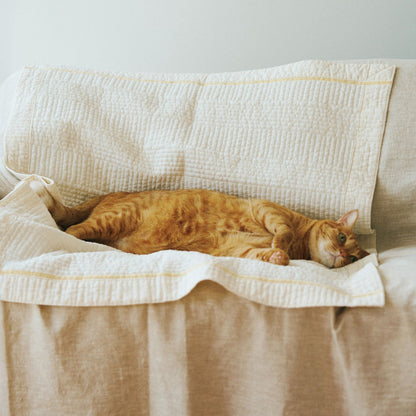 kazumi × Orné de Feuilles  イブルマット 75×103cm