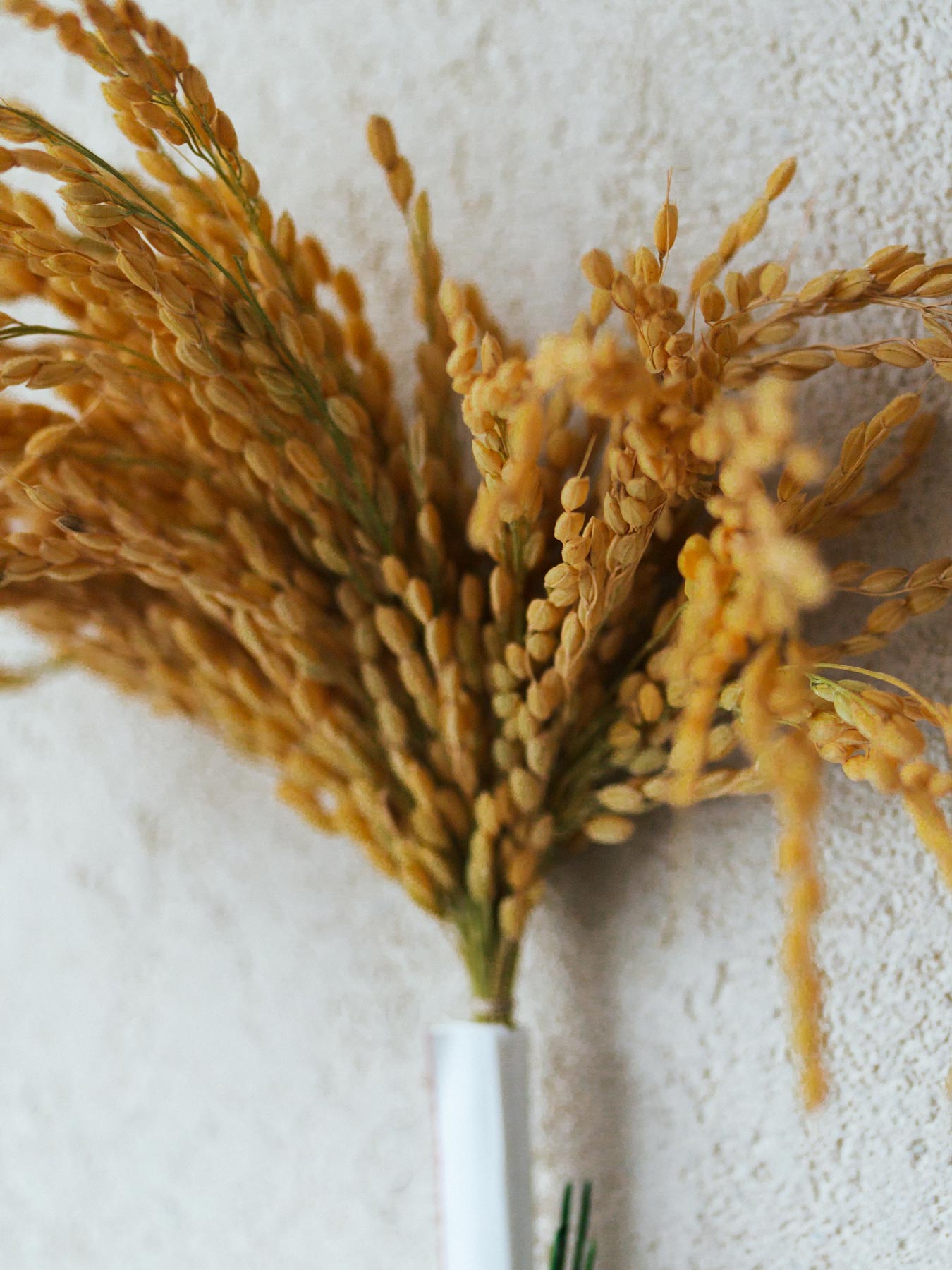 INAKEN しめ飾り（通年用）稲穂飾り／みのり結び