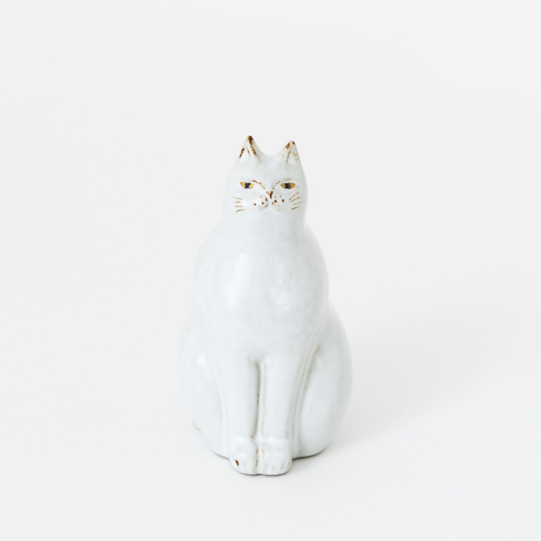  kyo0001 - CAT（ネコ）