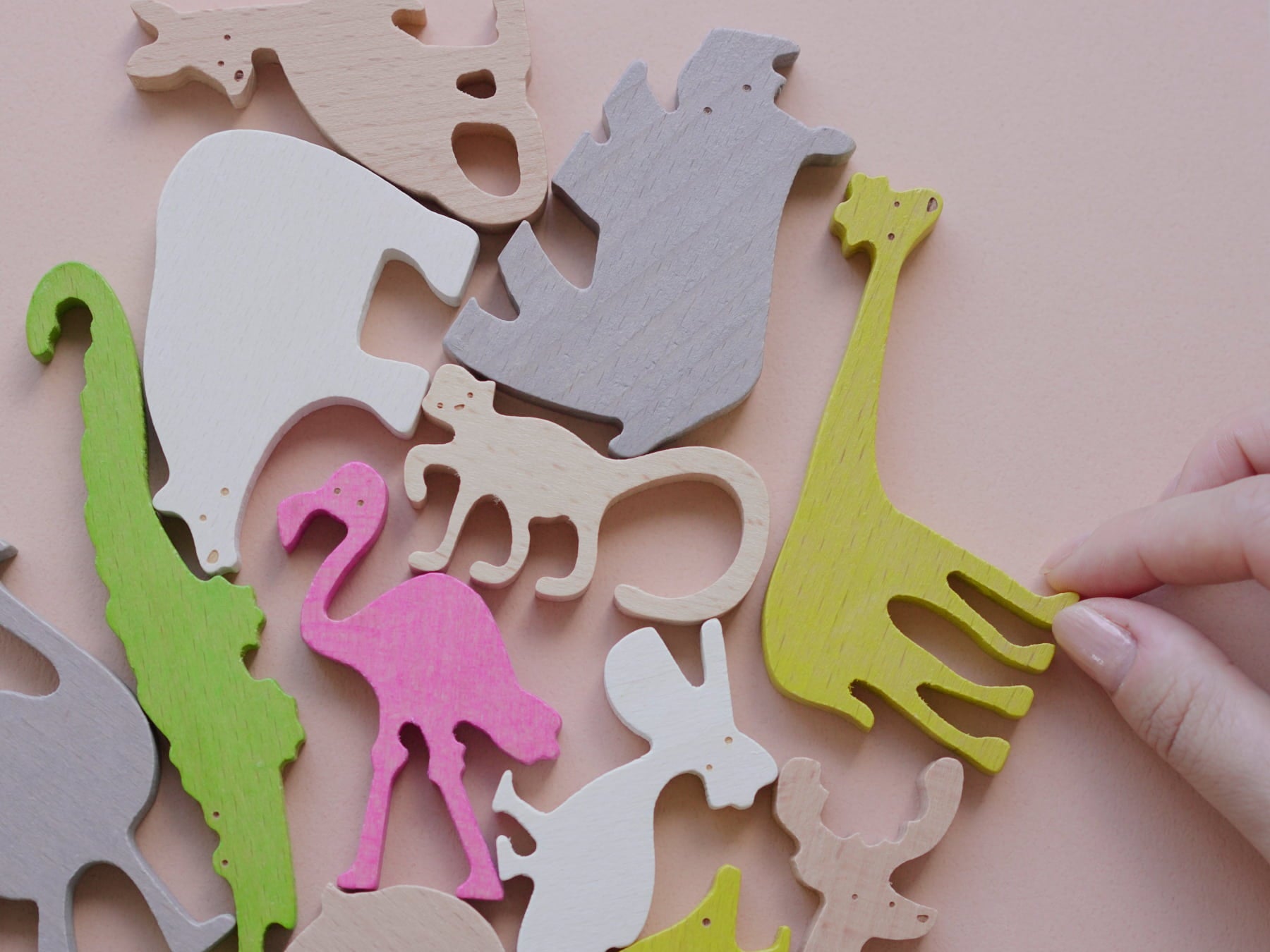 KOHO ボンゴ 木製 動物の皮ヘッド（羊 KOHO ボンゴ 木製 動物の皮