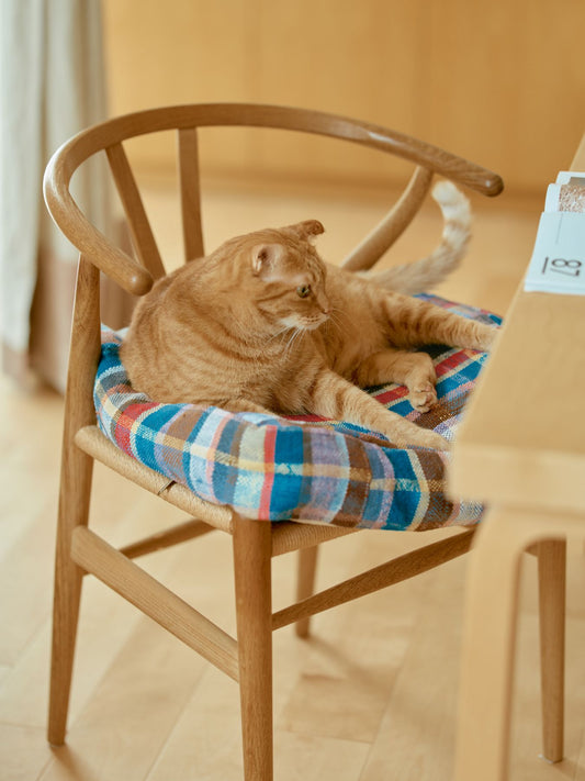 使用している柄：E