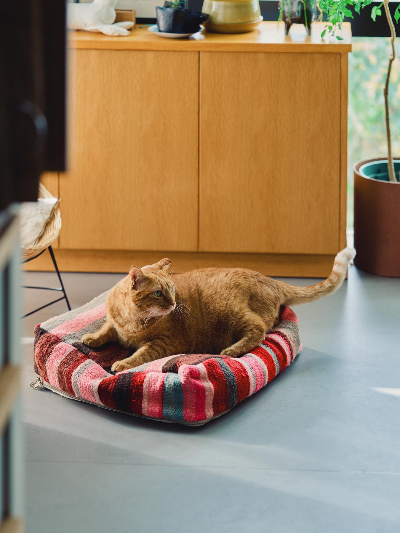 オルネコ・猫のプフカバー／ハイク