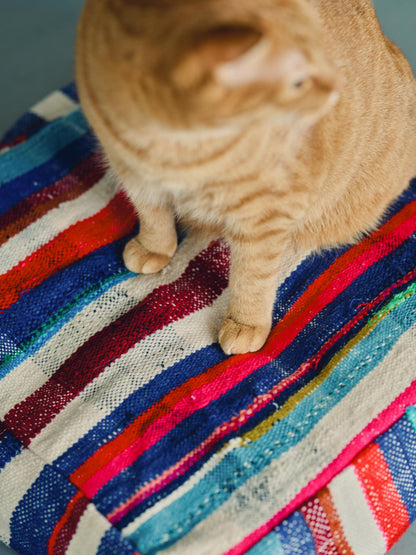 オルネコ・猫のプフカバー／ハイク