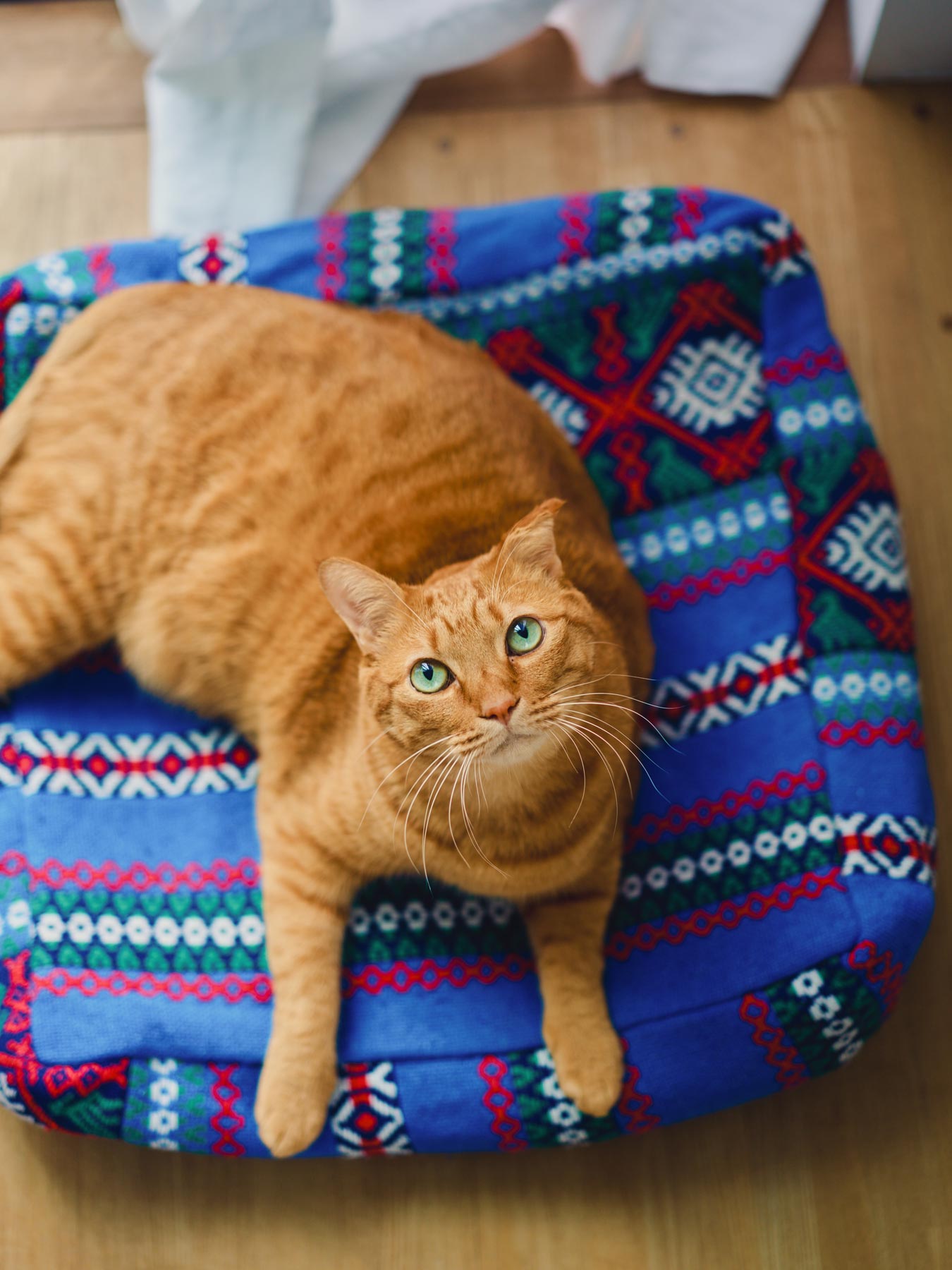 オルネコ・猫のプフカバー／ハイク｜オルネコ（クッション・マット