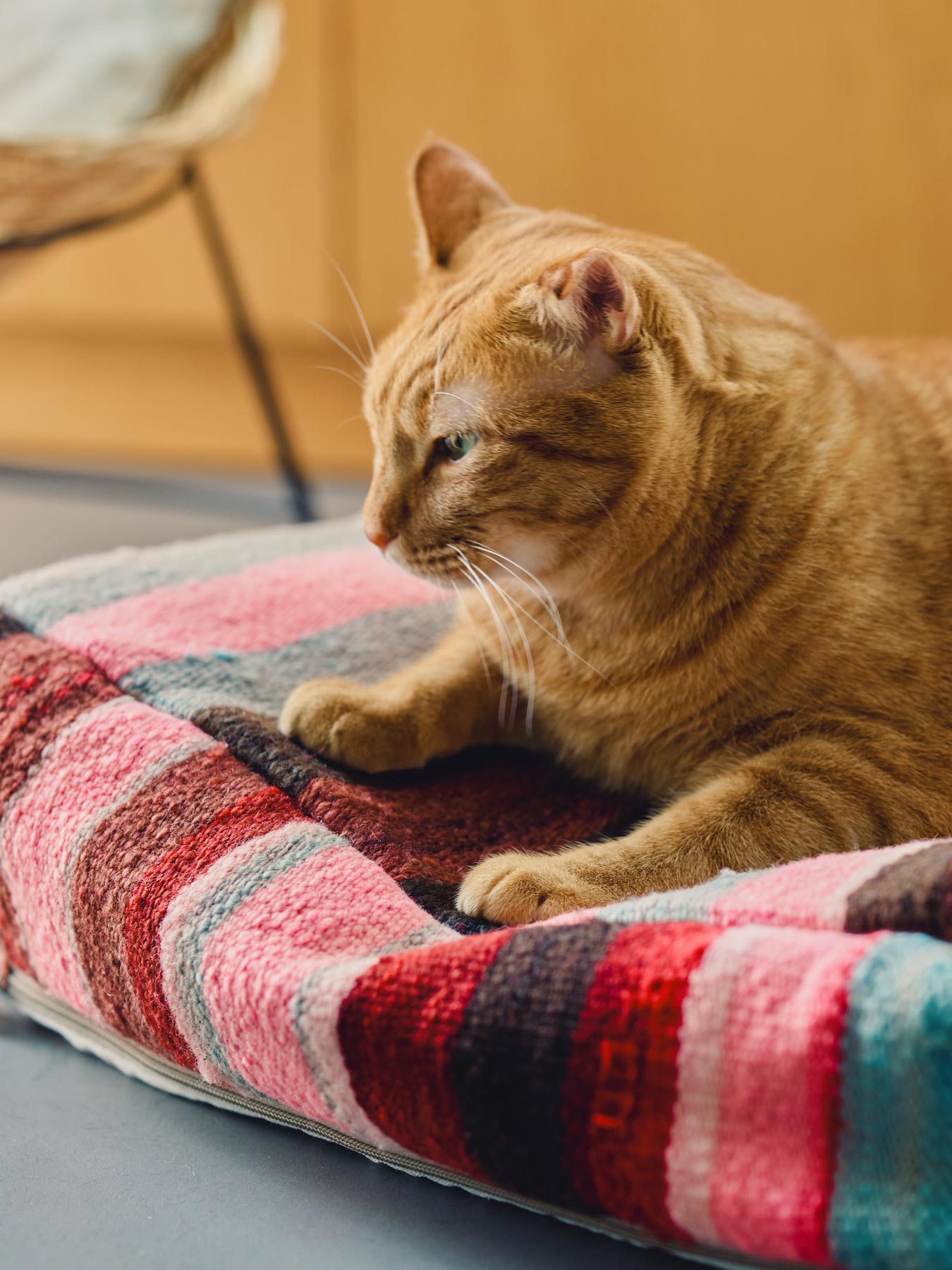 オルネコ・猫のプフカバー／ハイク｜オルネコ（クッション・マット
