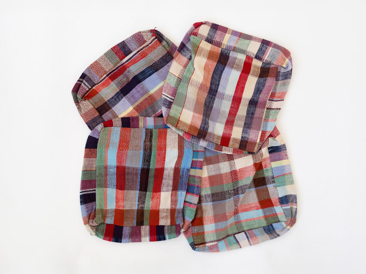 N：個体差（柄の出方）の例