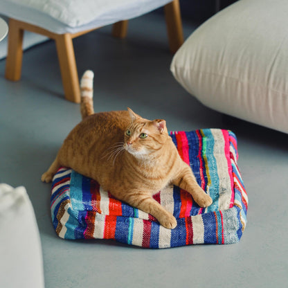 オルネコ・猫のプフカバー／ハイク