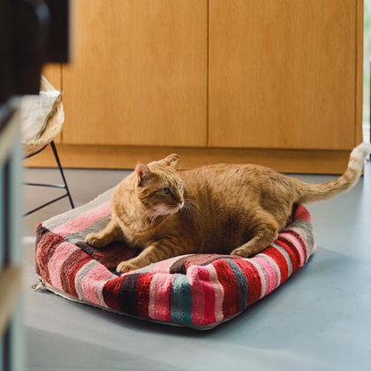 オルネコ・猫のプフカバー／ハイク