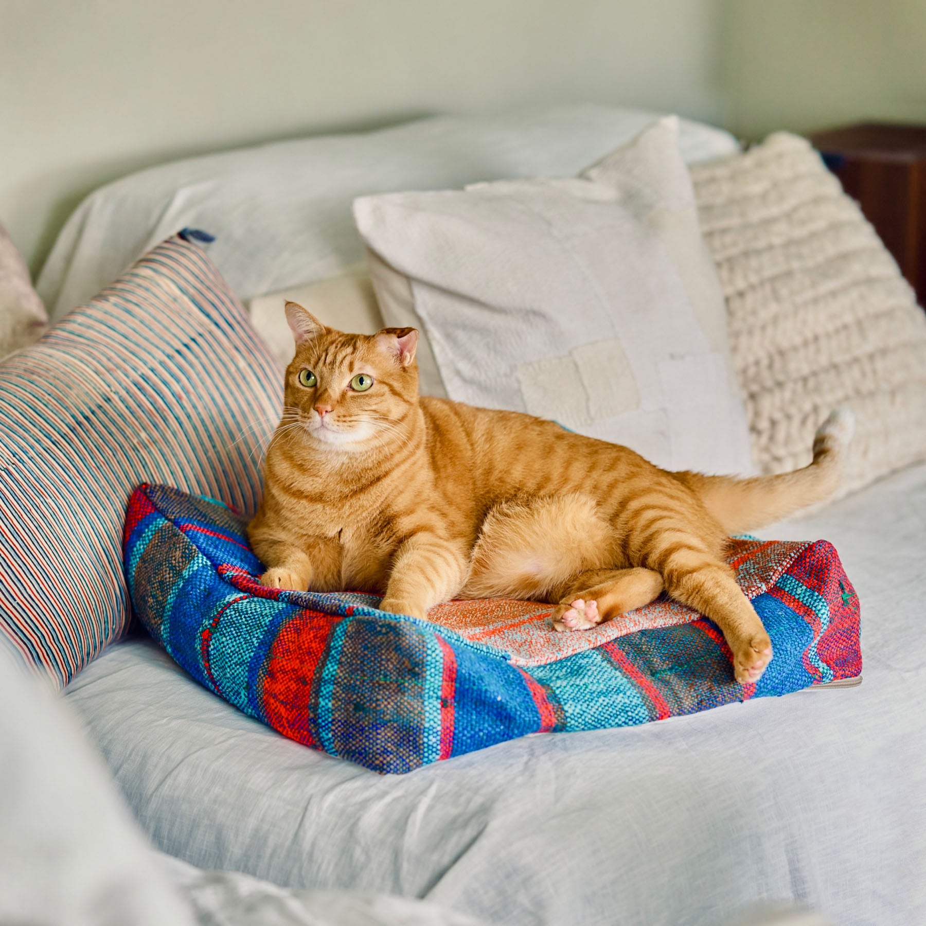 Orné de Feuilles リネン・ラウンドクッション 2個セット クッション｜オルネ ド フォイユ 公式オンラインショップ – Orné de