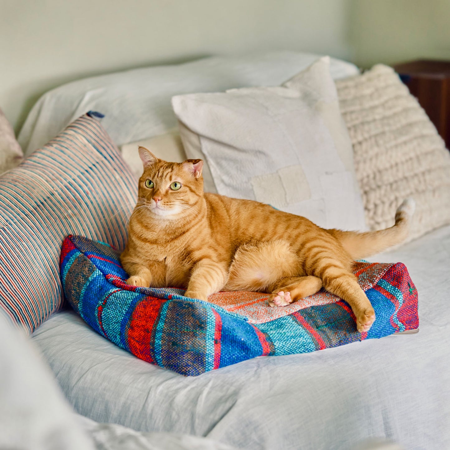 オルネコ・猫のプフカバー／ハイク