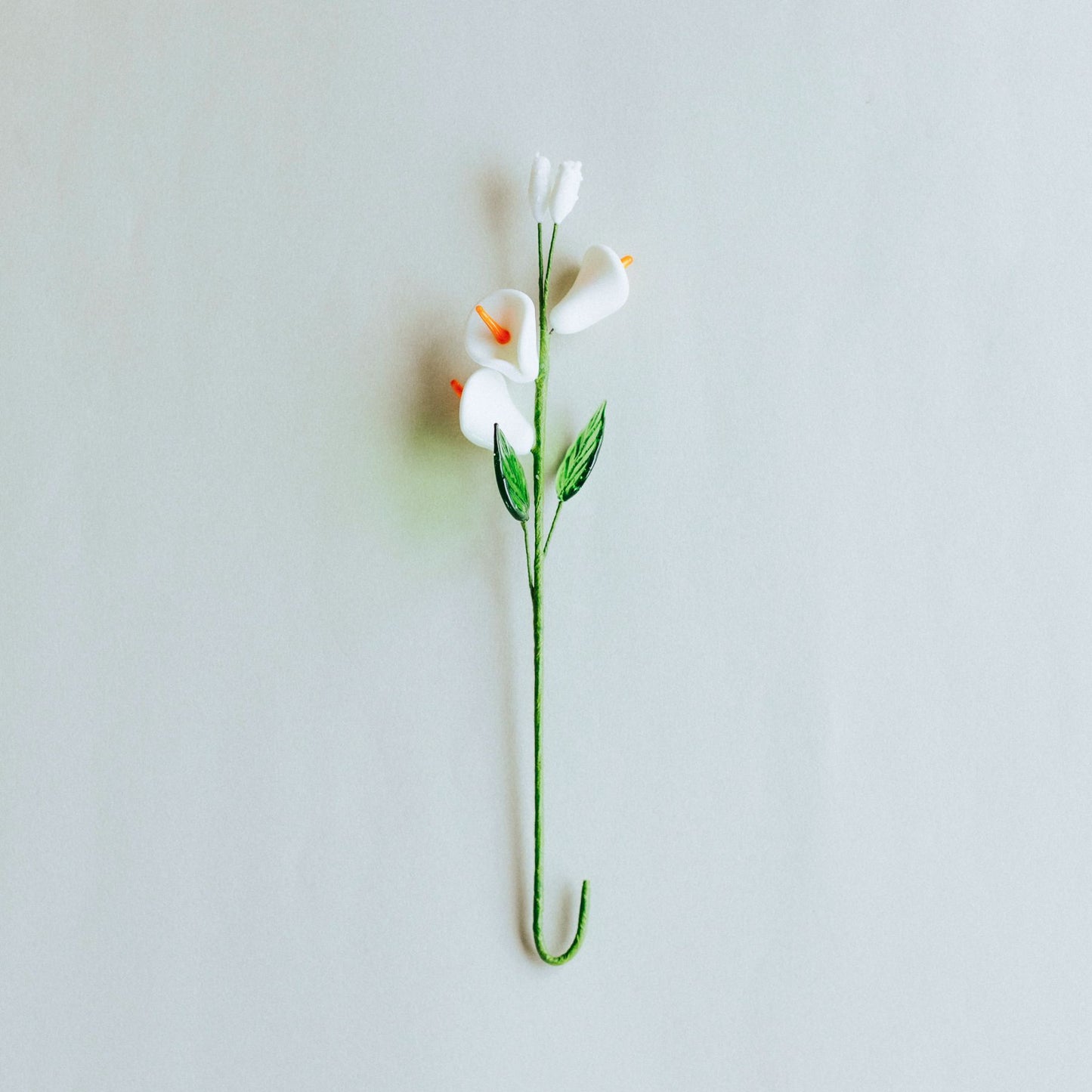 Calla