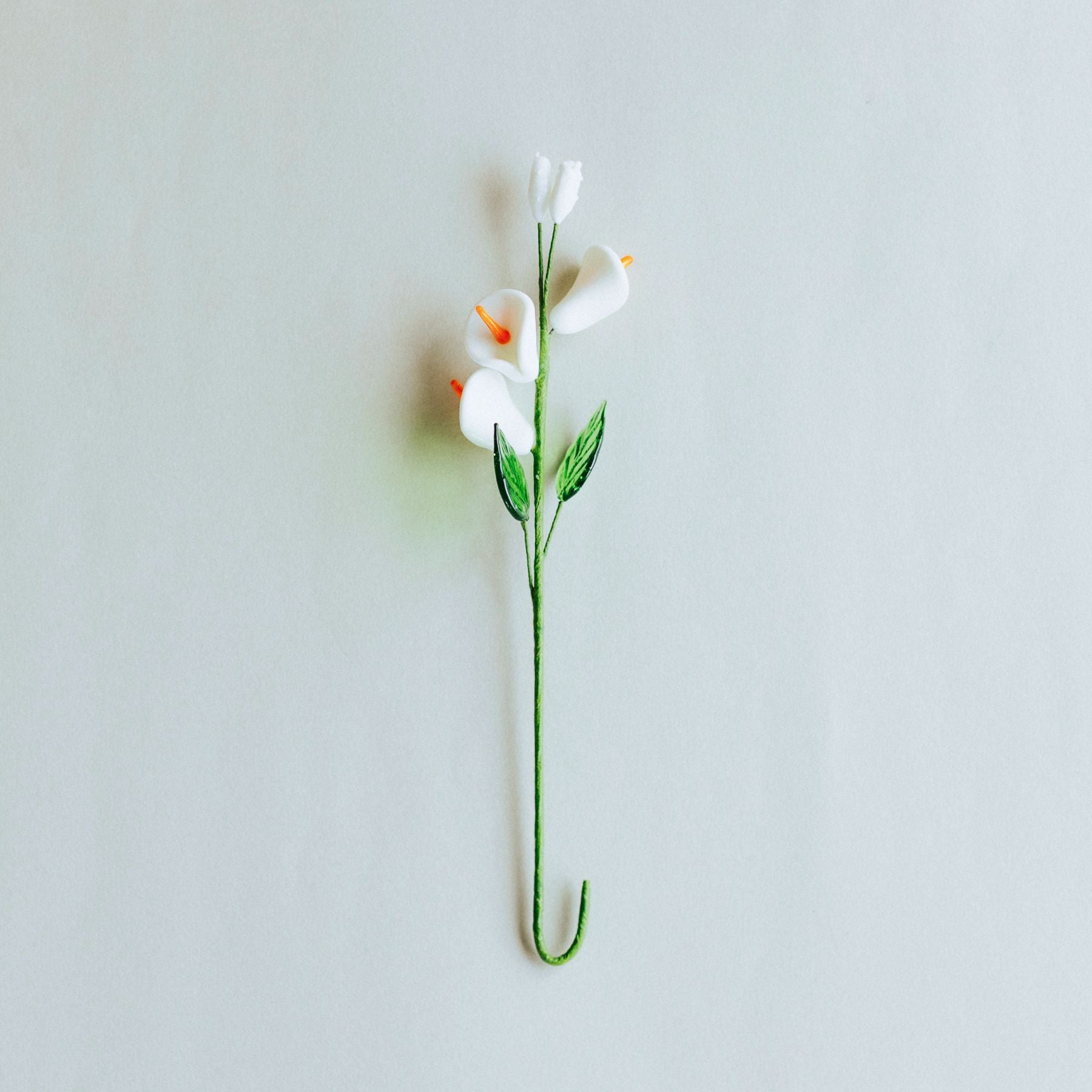 Calla